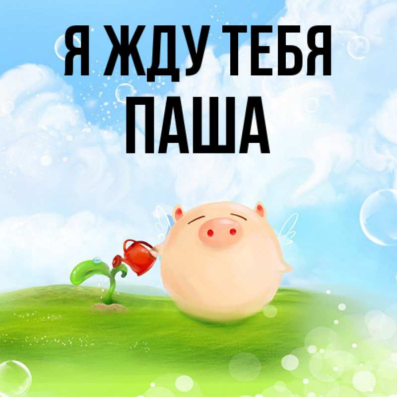 Открытка с именем, Паша, Я жду тебя
