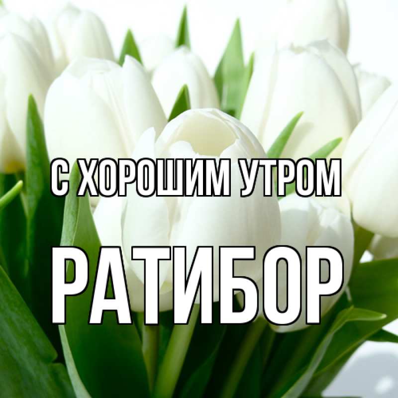 Картинка С хорошим утром, Ратибор
