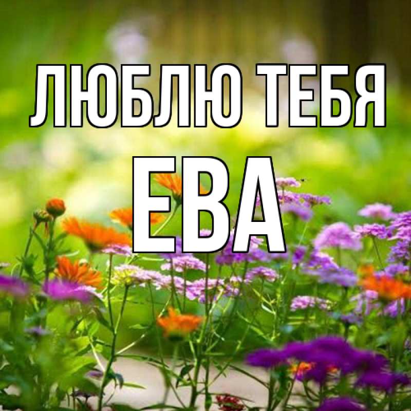 Картинка Люблю тебя, Ева