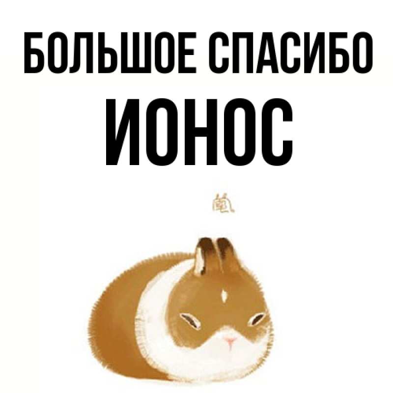 Картинка Большое спасибо, Ионос