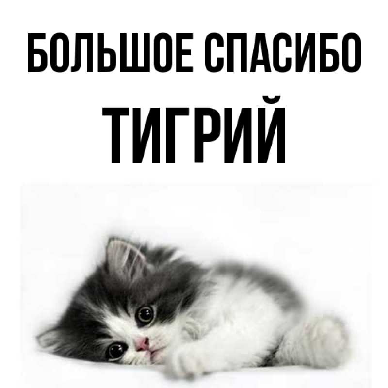 Открытка с именем, Тигрий, Большое спасибо