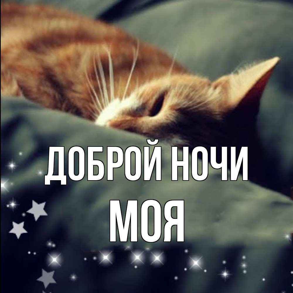 Открытка на каждый день с именем, Моя Доброй ночи кроватка Прикольная открытка с пожеланием онлайн скачать бесплатно 
