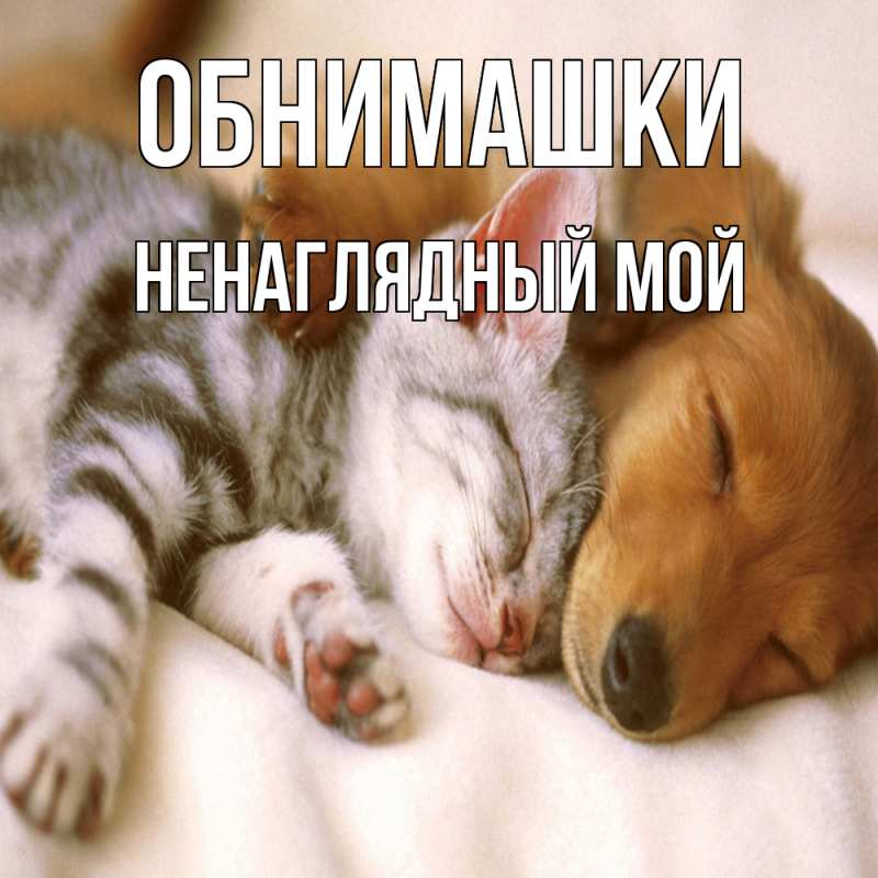 Открытка с именем, Ненаглядный мой, Обнимашки