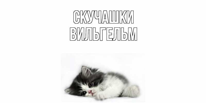Открытка с именем, Вильгельм, Скучашки