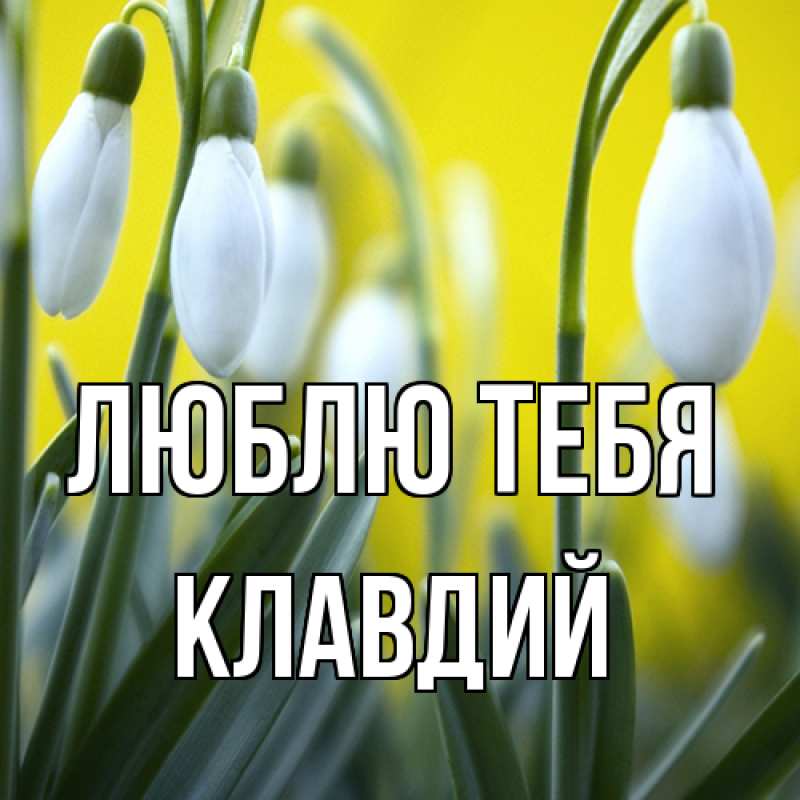 Картинка Люблю тебя, Клавдий