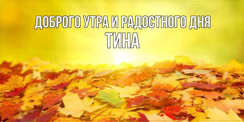 Картинка Доброго утра и радостного дня, Тина