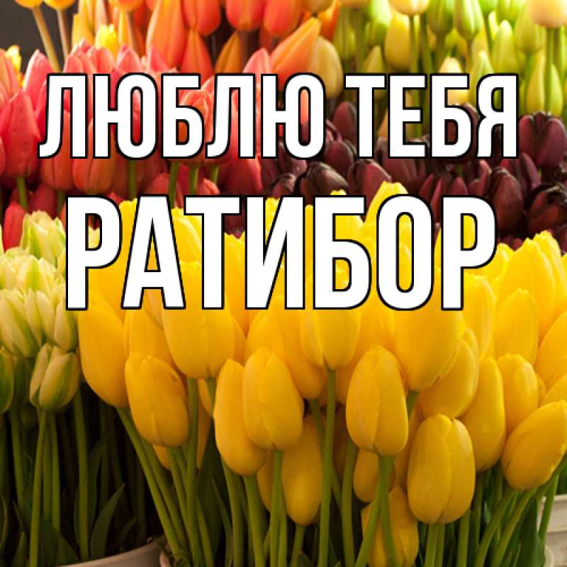 Картинка Люблю тебя, Ратибор