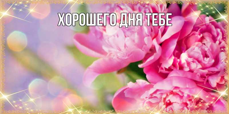 Открытка с именем, Муслим, Люблю тебя