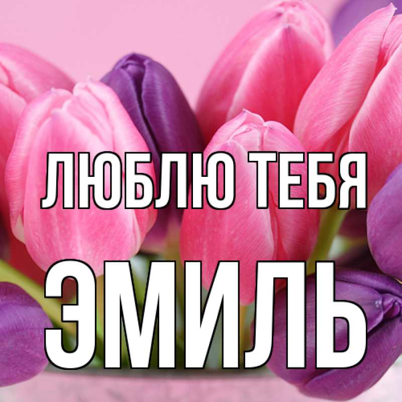 Картинка Люблю тебя, Эмиль