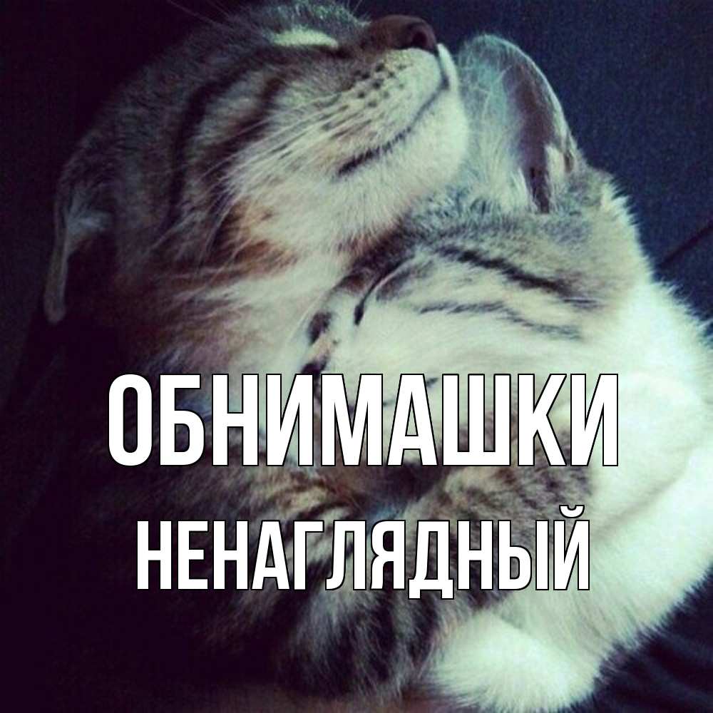 Открытка на каждый день с именем, Ненаглядный Обнимашки полосатики Прикольная открытка с пожеланием онлайн скачать бесплатно 