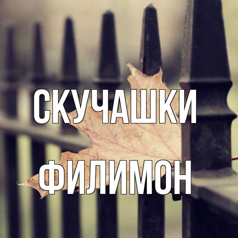 Картинка Скучашки, Филимон