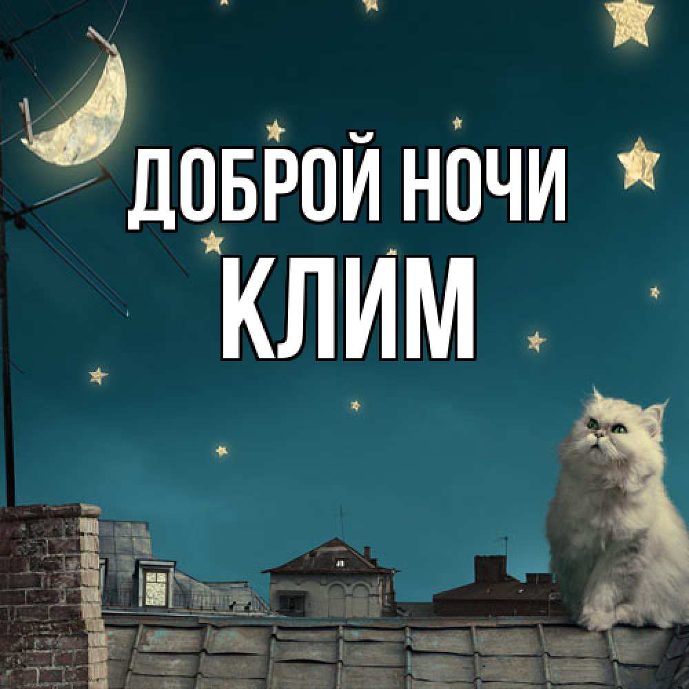 Открытка на каждый день с именем, Клим Доброй ночи белый кот сидит на крыше Прикольная открытка с пожеланием онлайн скачать бесплатно 