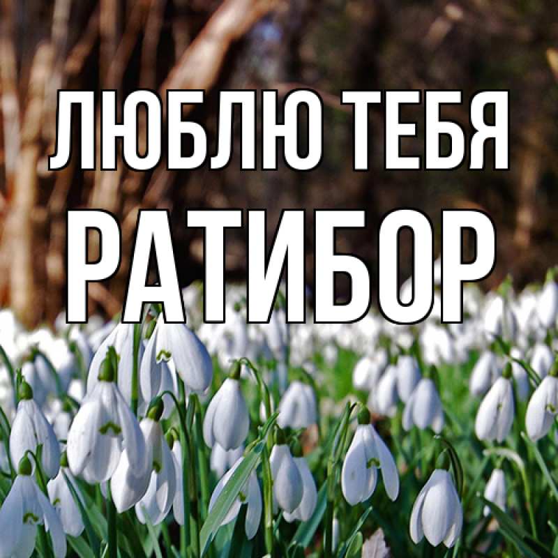 Картинка Люблю тебя, Ратибор