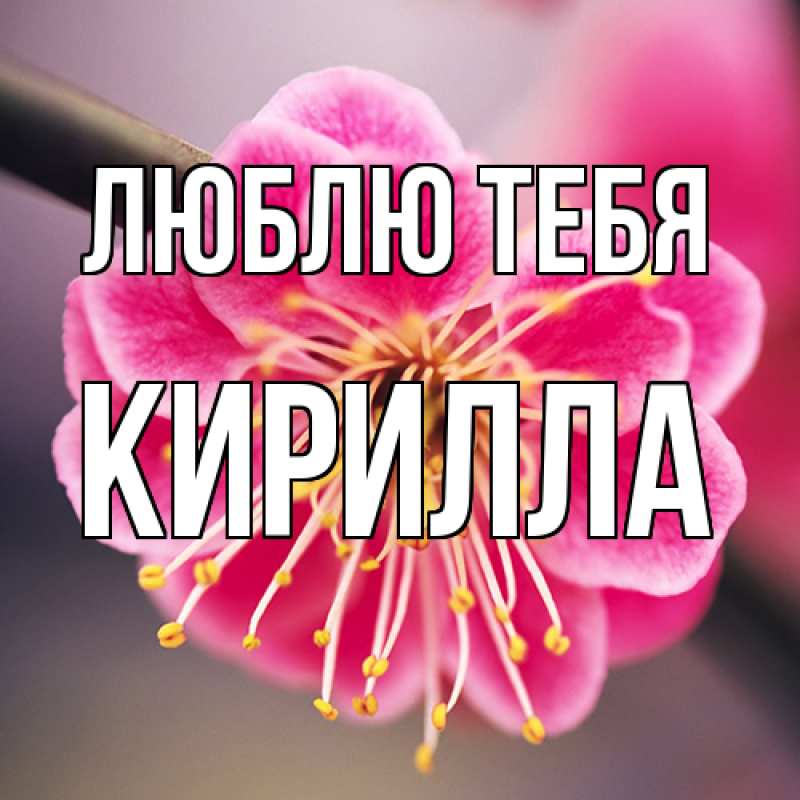 Открытка с именем, Кирилла, Люблю тебя