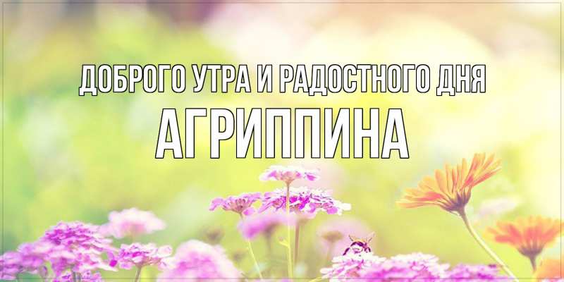 Картинка Доброго утра и радостного дня, Агриппина