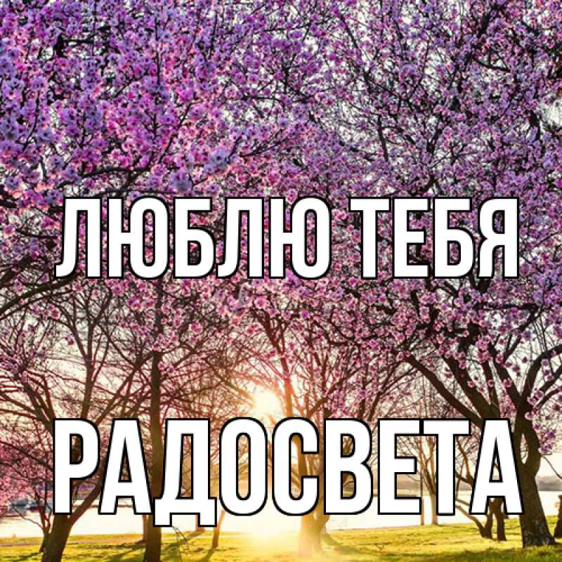 Картинка Люблю тебя, Радосвета