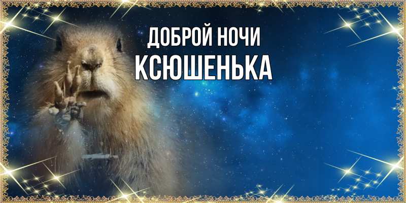Открытка с именем, Ксюшенька, Доброй ночи