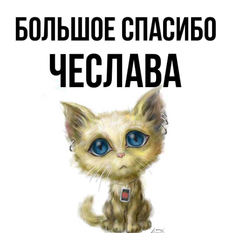 Картинка Большое спасибо, Чеслава