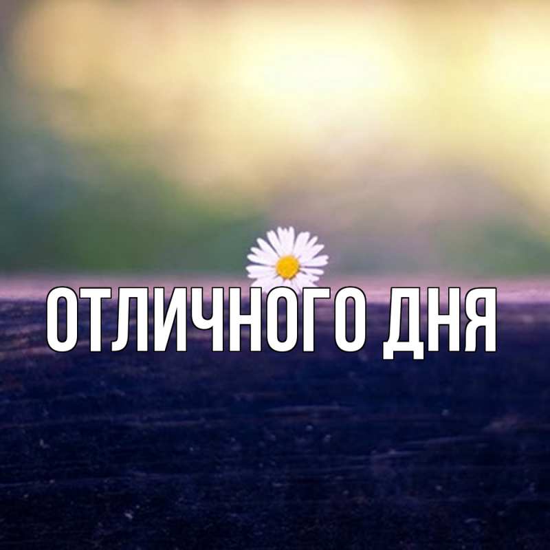 Картинка Скучашки, Лана