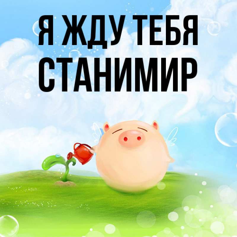 Картинка Я жду тебя, Станимир