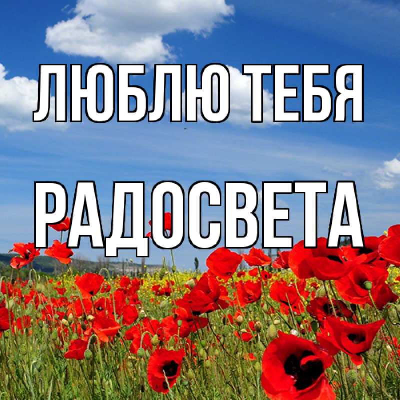 Картинка Люблю тебя, Радосвета