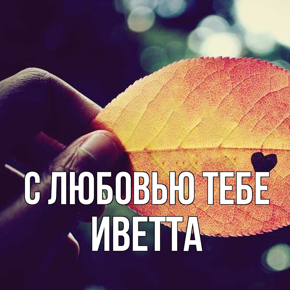 Открытка на каждый день с именем, Иветта С любовью тебе держу лист Прикольная открытка с пожеланием онлайн скачать бесплатно 