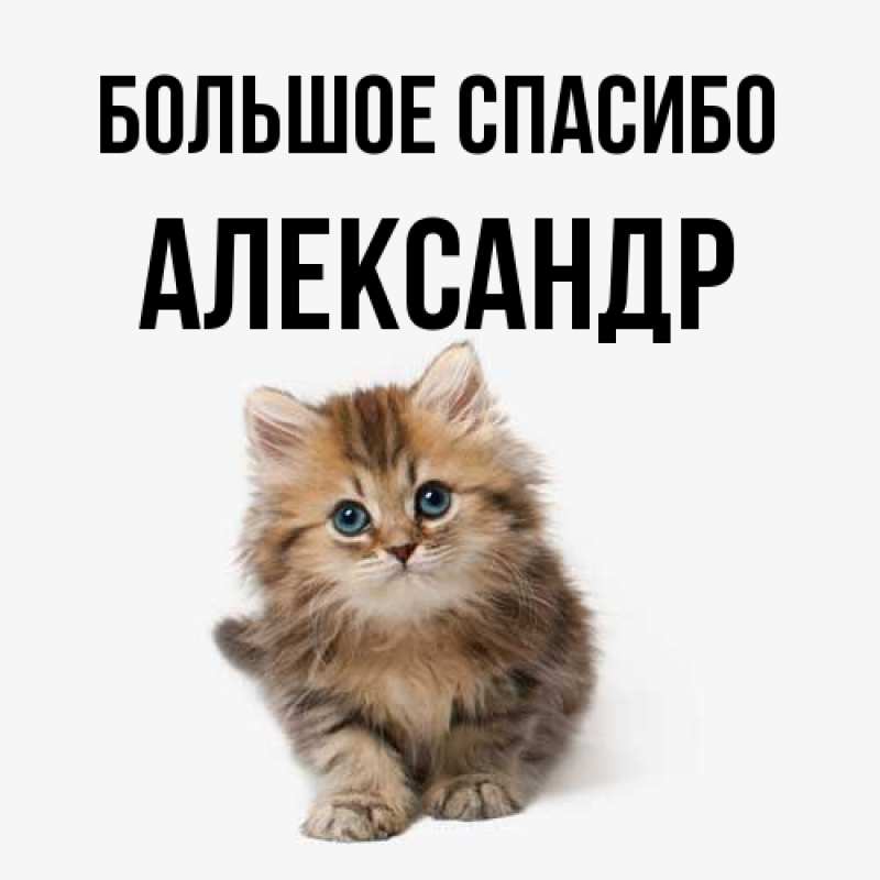 Открытка с именем, Александр, Большое спасибо