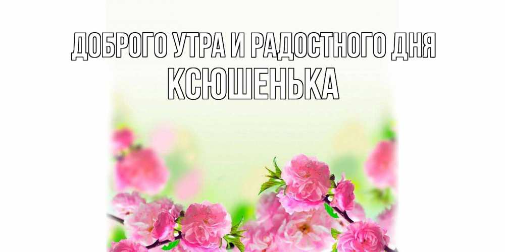 Открытка на каждый день с именем, Ксюшенька Доброго утра и радостного дня цветы Прикольная открытка с пожеланием онлайн скачать бесплатно 