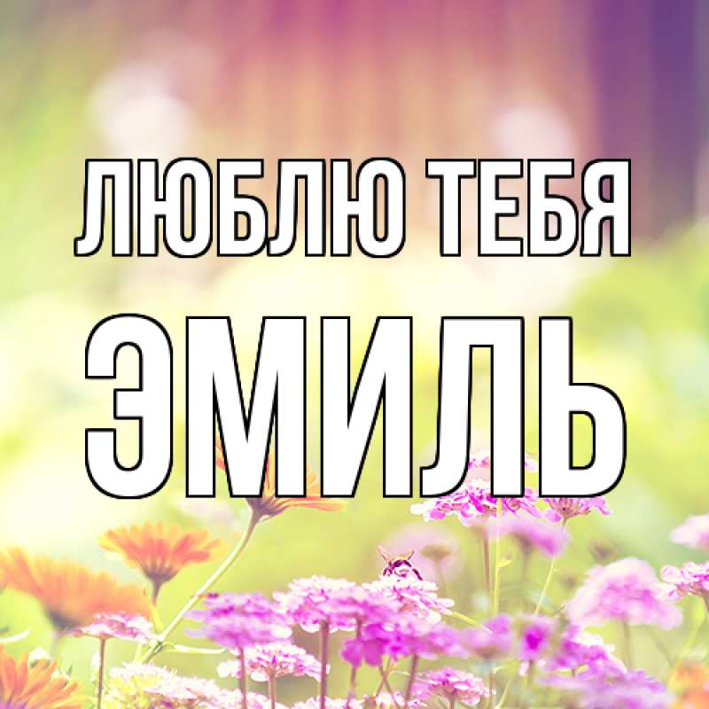 Картинка Люблю тебя, Эмиль