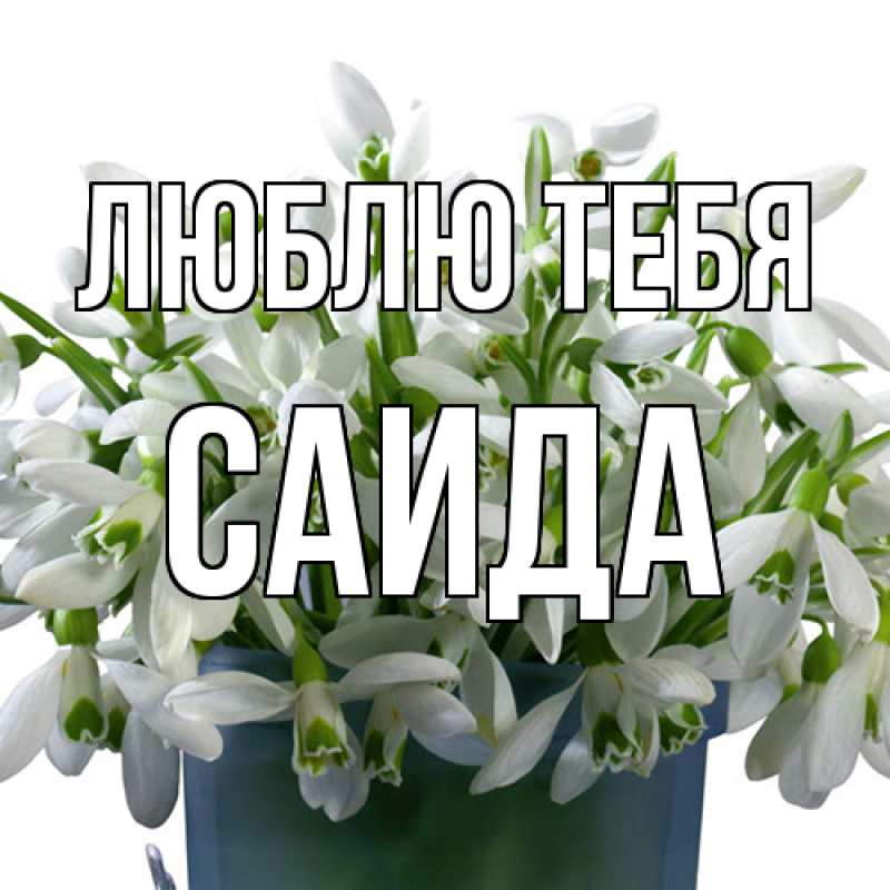 Картинка Люблю тебя, Саида