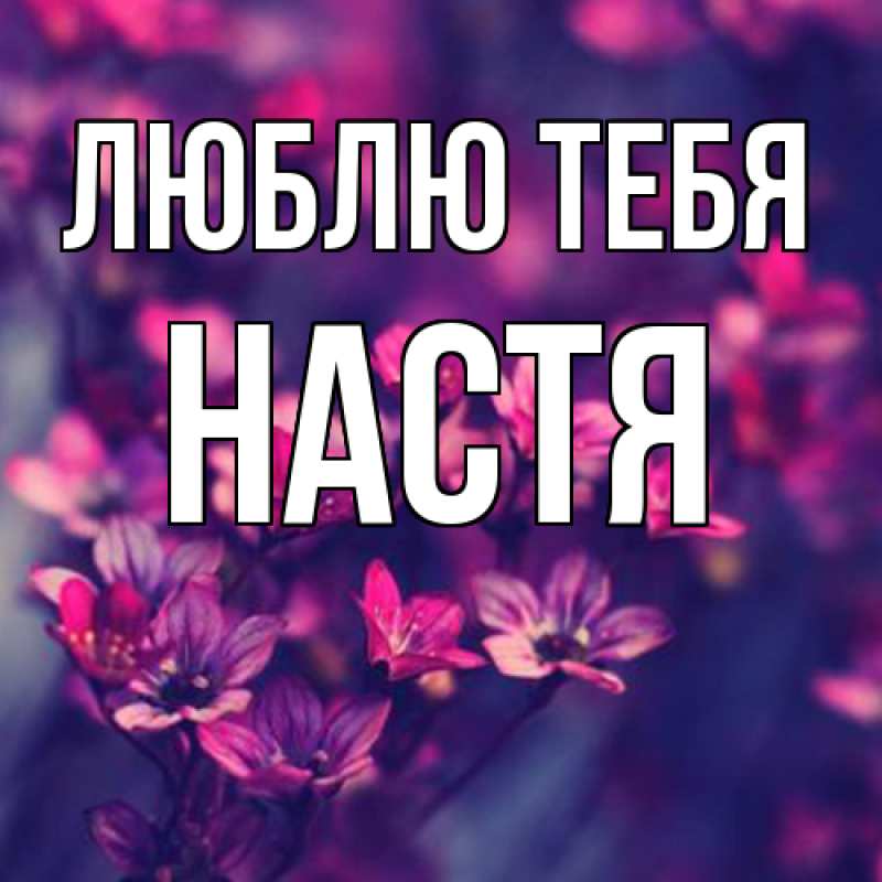 Картинка Люблю тебя, Настя