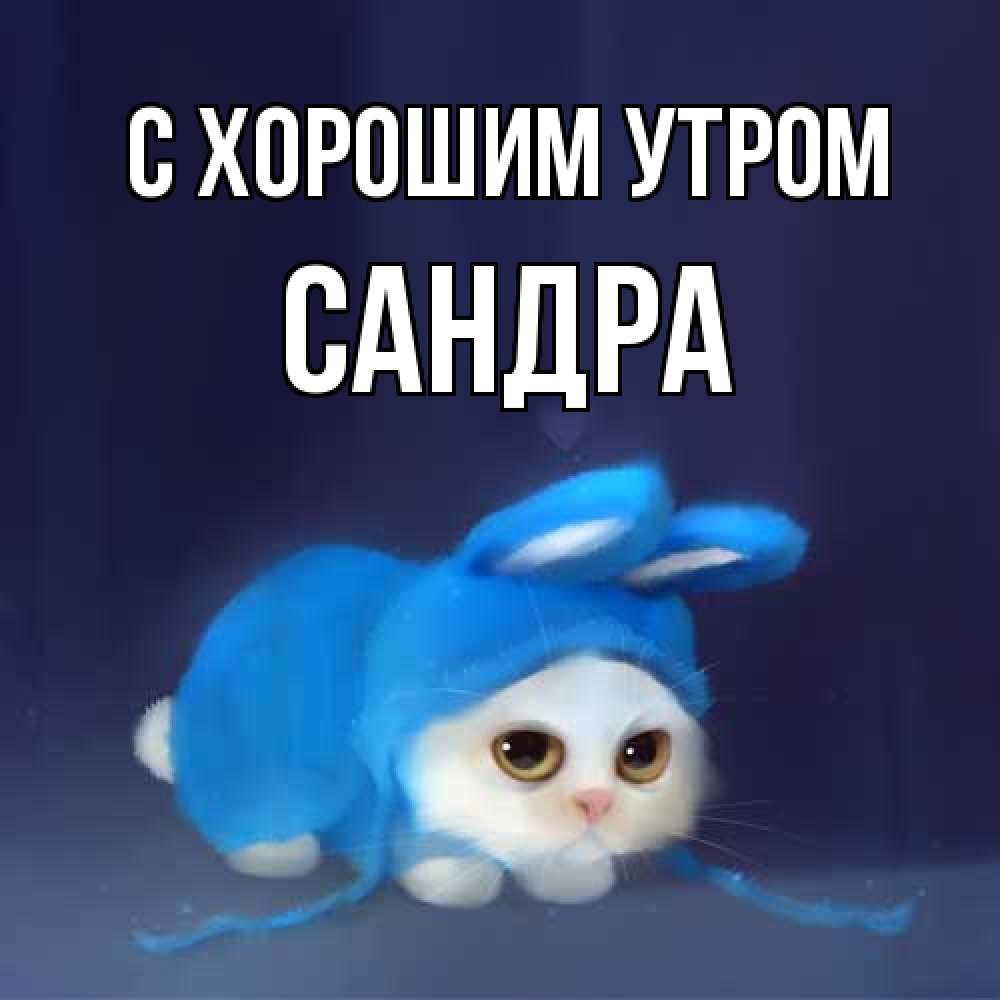 Открытка на каждый день с именем, Сандра С хорошим утром открытки красивые скачать бесплатно Прикольная открытка с пожеланием онлайн скачать бесплатно 