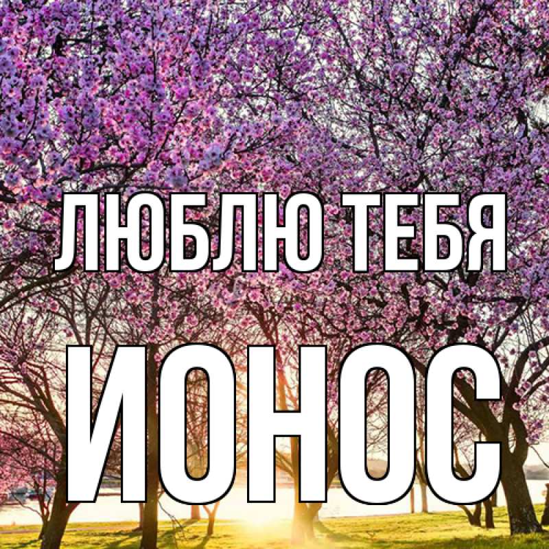 Картинка Люблю тебя, Ионос