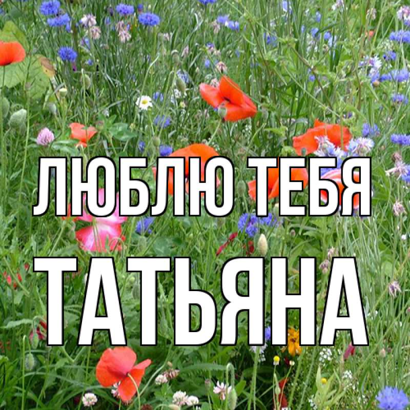 Открытка с именем, Татьяна, Люблю тебя