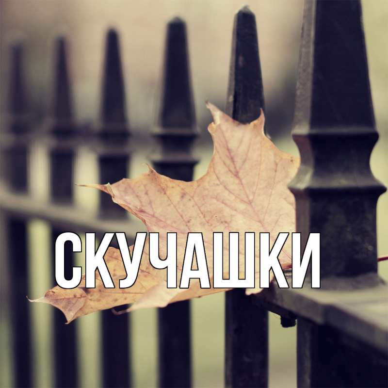 Картинка Скучашки, 