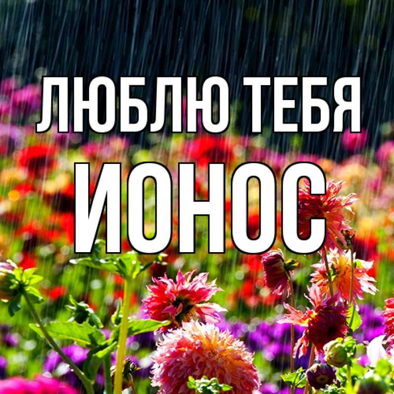 Картинка Люблю тебя, Ионос