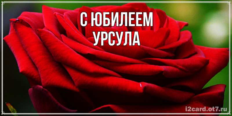 Картинка C юбилеем, Урсула