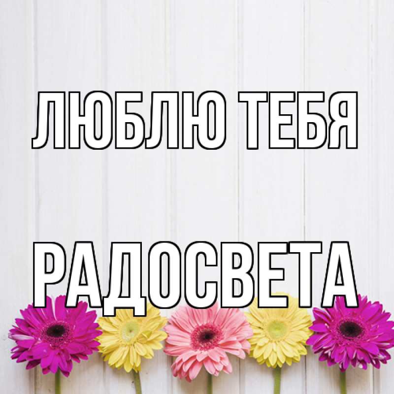 Картинка Люблю тебя, Радосвета