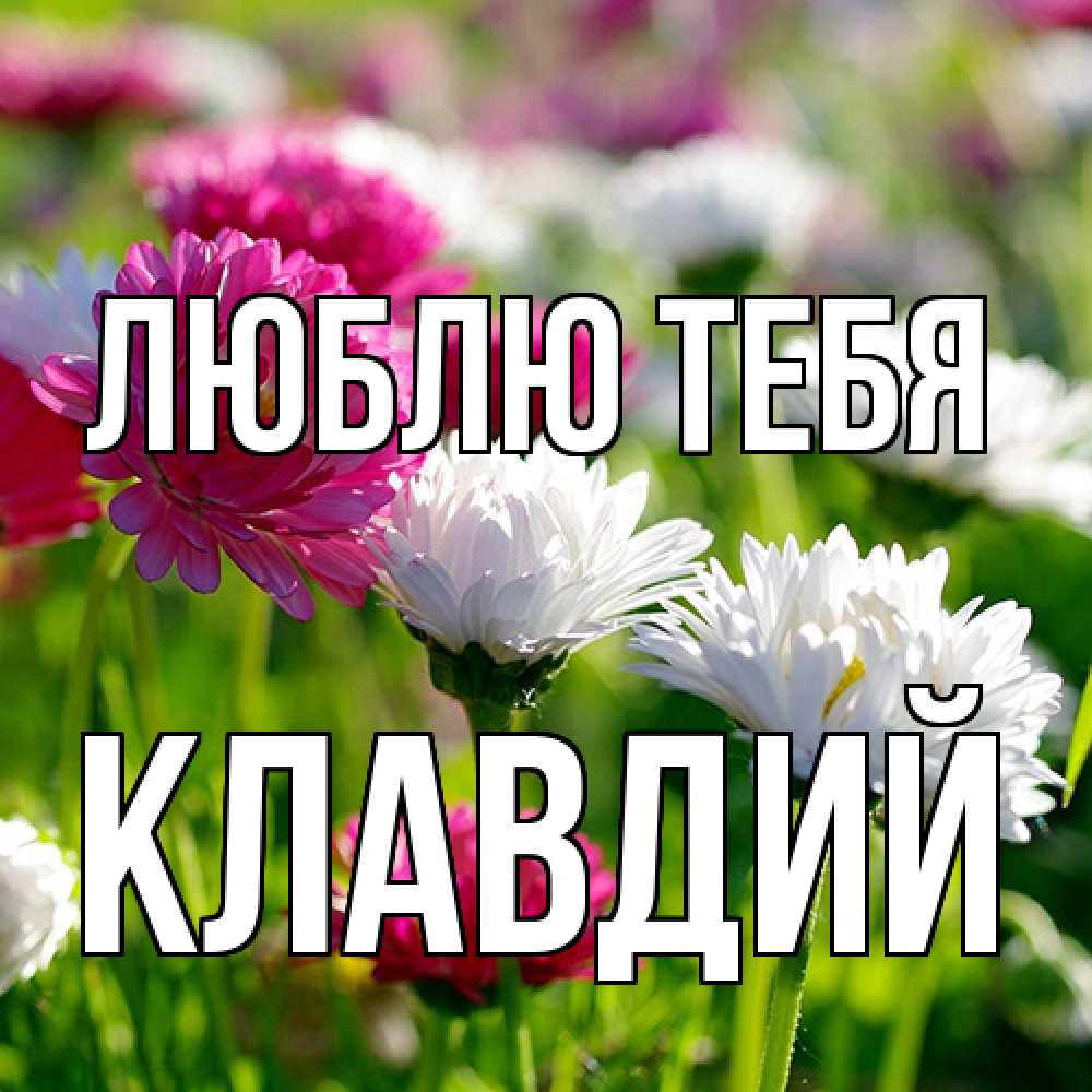 Открытка на каждый день с именем, Клавдий Люблю тебя международный женский день 1 Прикольная открытка с пожеланием онлайн скачать бесплатно 
