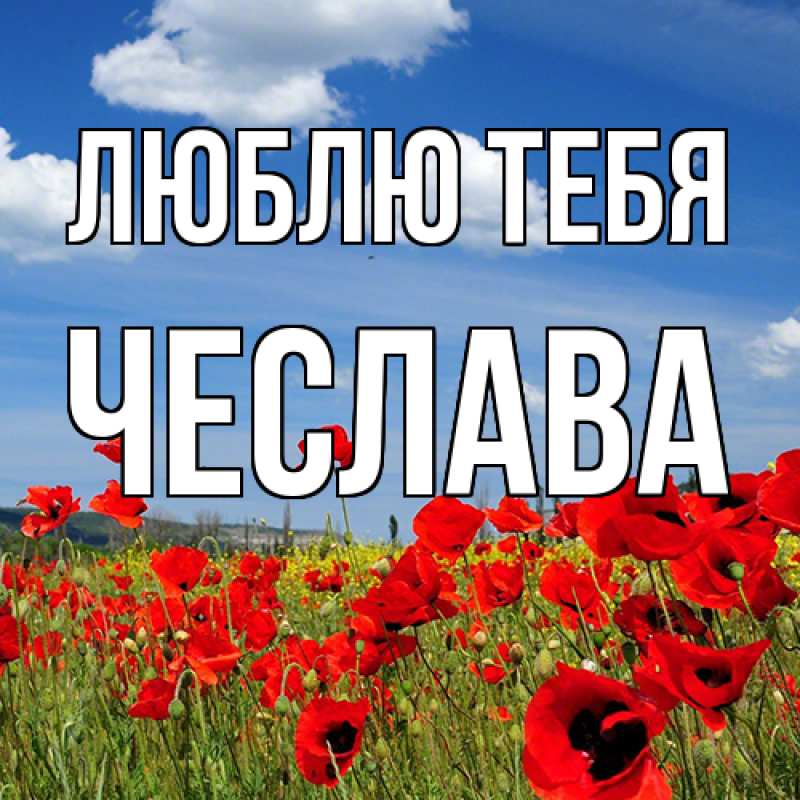 Картинка Люблю тебя, Чеслава