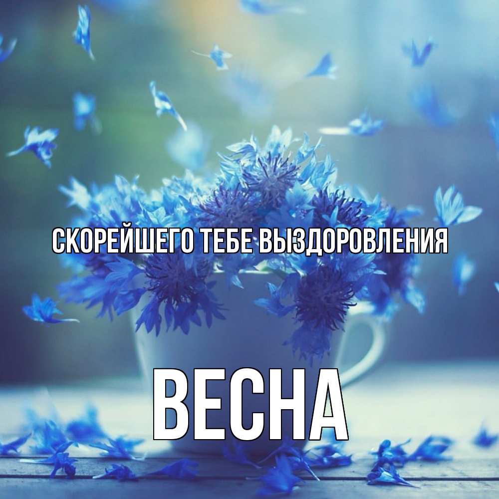 Открытка на каждый день с именем, Весна Скорейшего тебе выздоровления кружка с зельем и цветами Прикольная открытка с пожеланием онлайн скачать бесплатно 