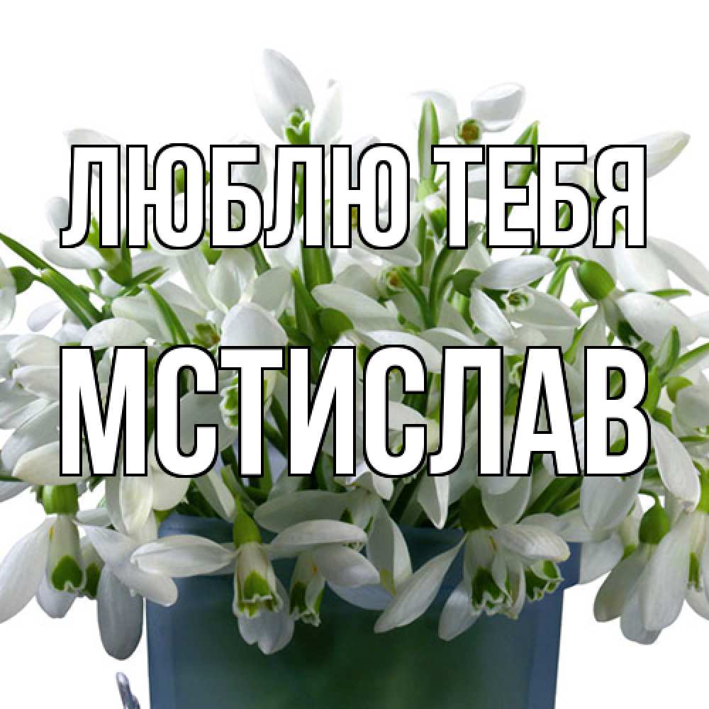 Открытка на каждый день с именем, Мстислав Люблю тебя цветы к международному женскому дню Прикольная открытка с пожеланием онлайн скачать бесплатно 