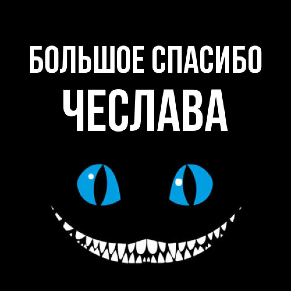 Открытка на каждый день с именем, Чеслава Большое спасибо благодарю от чеширика Прикольная открытка с пожеланием онлайн скачать бесплатно 