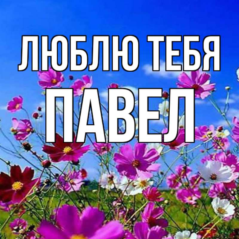 Открытка с именем, Павел, Люблю тебя