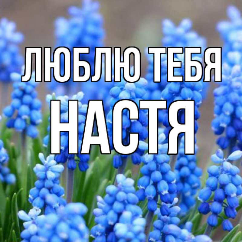 Картинка Люблю тебя, Настя