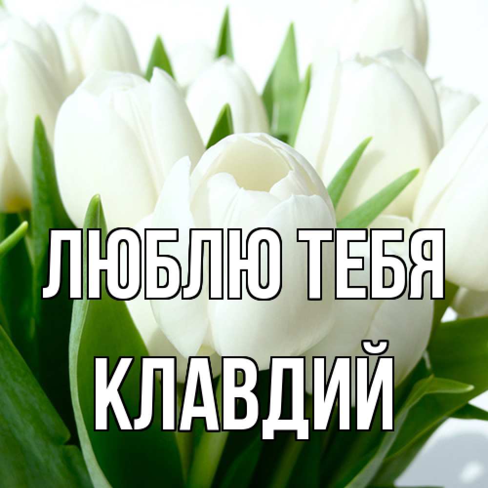 Открытка на каждый день с именем, Клавдий Люблю тебя цветы Прикольная открытка с пожеланием онлайн скачать бесплатно 