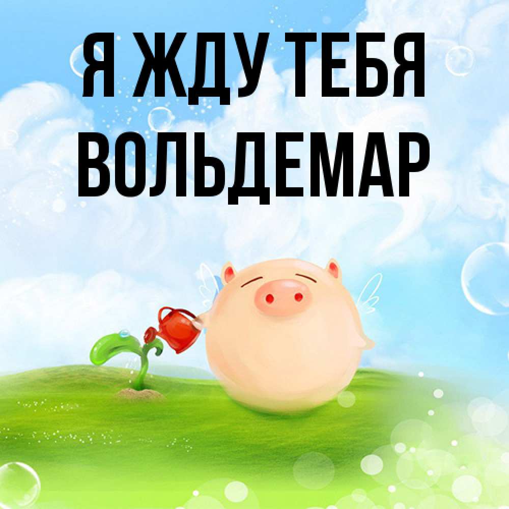 Открытка на каждый день с именем, Вольдемар Я жду тебя позитивная свинюшка Прикольная открытка с пожеланием онлайн скачать бесплатно 