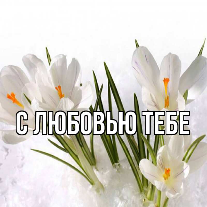 Картинка Люблю тебя, Ева