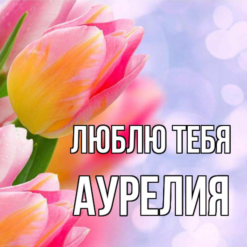 Картинка Люблю тебя, Аурелия