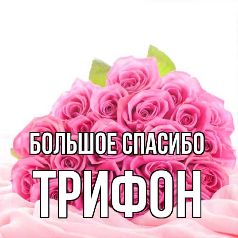 Картинка Большое спасибо, Трифон
